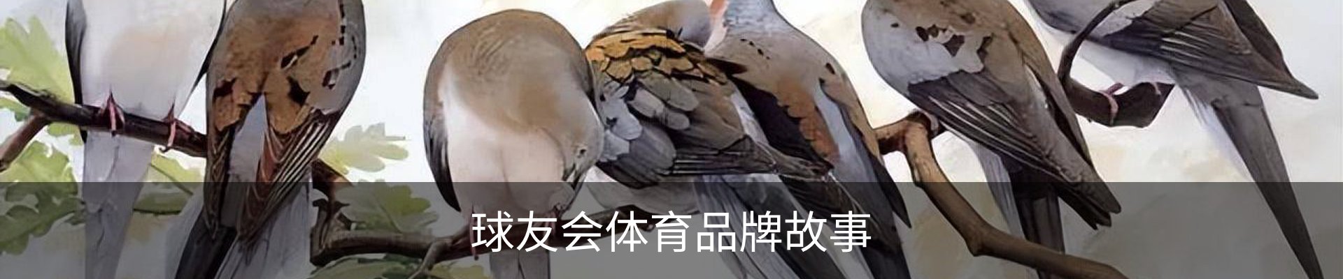 球友会体育品牌故事